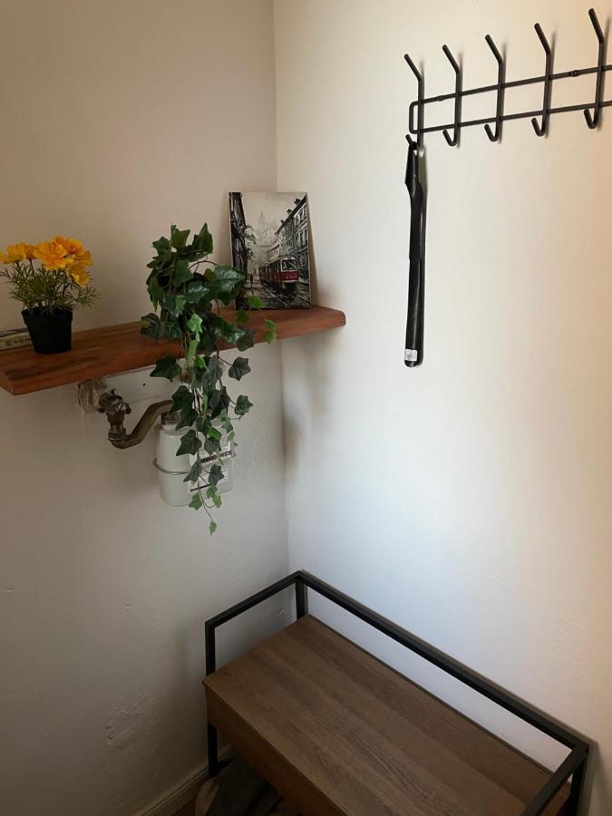 Trendy Apartment Near Schloss Schonbrunn 维也纳 外观 照片